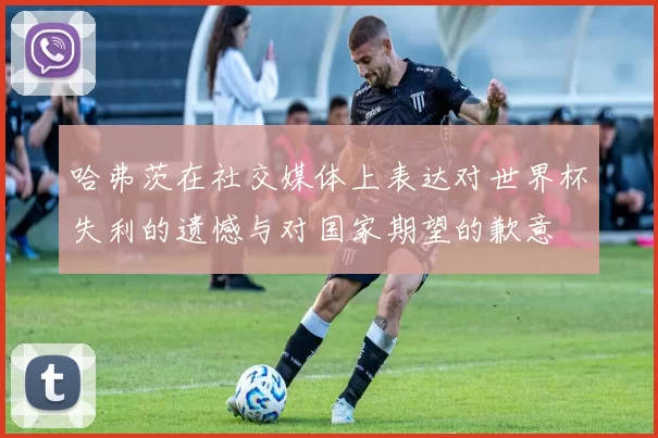 哈弗茨在社交媒体上表达对世界杯失利的遗憾与对国家期望的歉意
